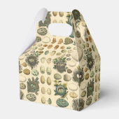  vogeleieren met nestkunst bedankdoosjes (Achterkant)