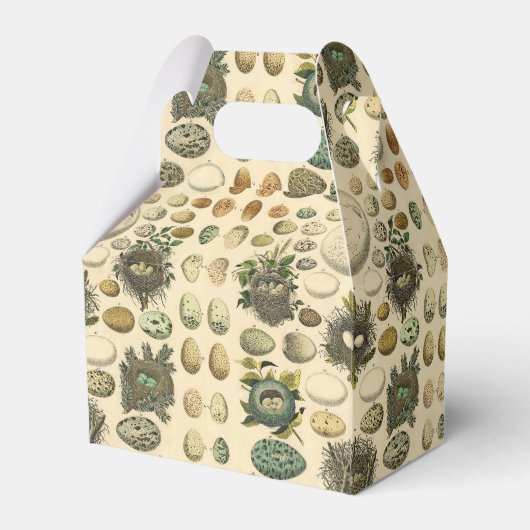  vogeleieren met nestkunst bedankdoosjes (Achterkant)