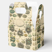  vogeleieren met nestkunst bedankdoosjes (Geopend)