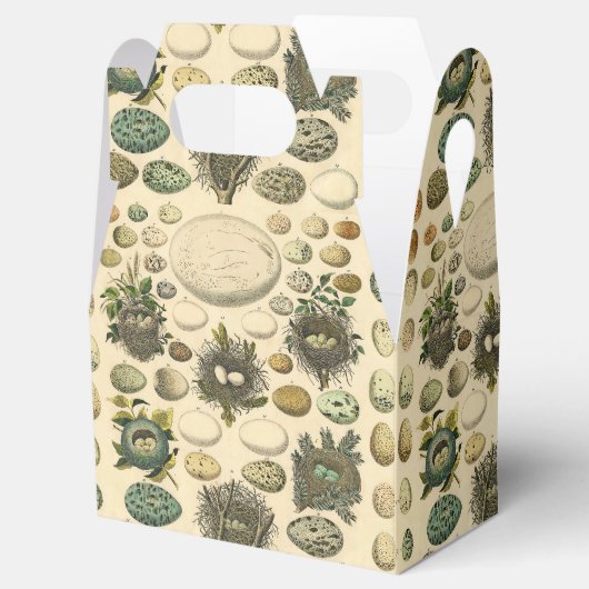  vogeleieren met nestkunst bedankdoosjes (Geopend)