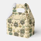  vogeleieren met nestkunst bedankdoosjes (Voorkant Zijde)