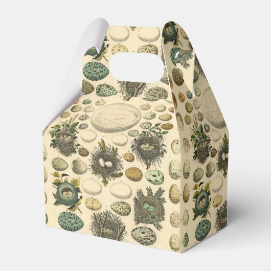  vogeleieren met nestkunst bedankdoosjes (Voorkant Zijde)