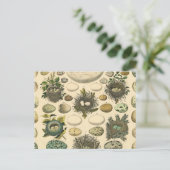  vogeleieren met nestkunst briefkaart (Staand voorkant)