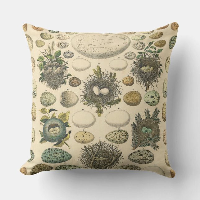  vogeleieren met nestkunst buitenkussen (Voorkant)