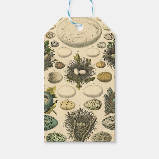  vogeleieren met nestkunst cadeaulabel (Voorkant)