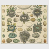 vogeleieren met nestkunst cadeaupapier (Vlak)