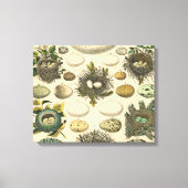  vogeleieren met nestkunst canvas afdruk (Voorkant)