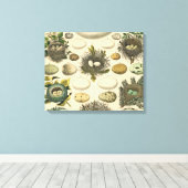  vogeleieren met nestkunst canvas afdruk (Insitu (Houten vloer))