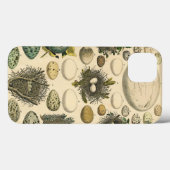 vogeleieren met nestkunst Case-Mate iPhone case (Achterkant (horizontaal))