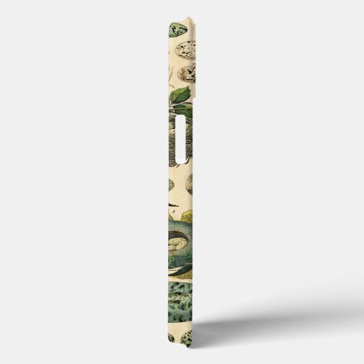  vogeleieren met nestkunst Case-Mate iPhone case (Achterkant / Rechts)