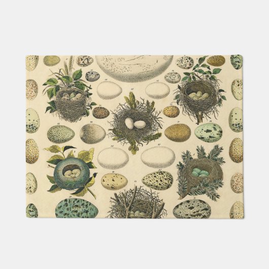  vogeleieren met nestkunst deurmat (Voorkant)