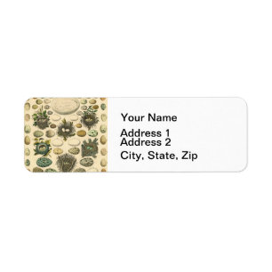 vogeleieren met nestkunst etiket