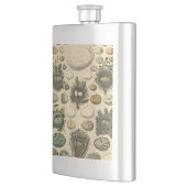  vogeleieren met nestkunst flacon (Links)