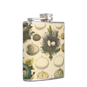  vogeleieren met nestkunst heupfles (Rechts)