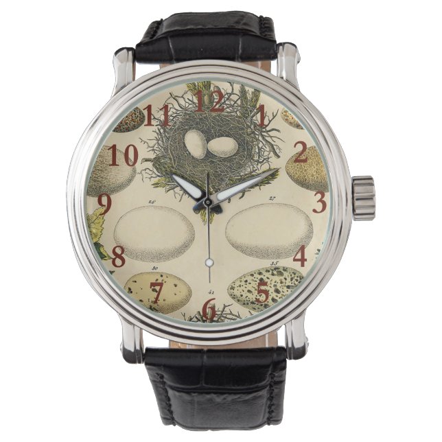 vogeleieren met nestkunst horloge (Voorkant)