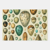  vogeleieren met nestkunst inpakpapier vel (Voorkant 3)