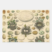  vogeleieren met nestkunst inpakpapier vel (Voorkant 2)