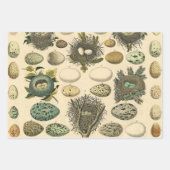  vogeleieren met nestkunst inpakpapier vel (Voorkant)