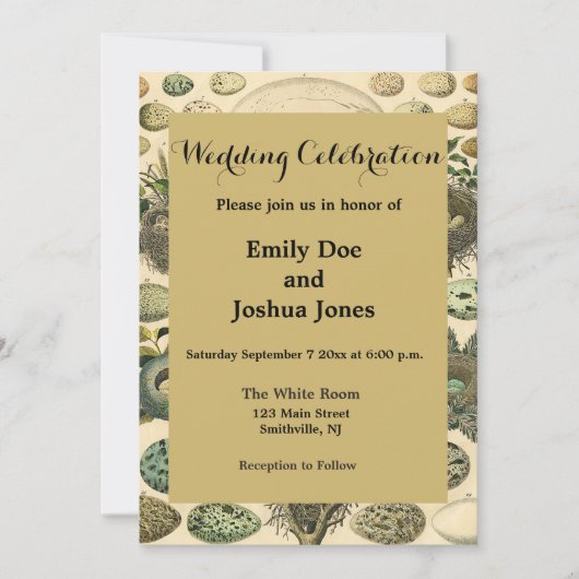  vogeleieren met nestkunst kaart (Voorkant)