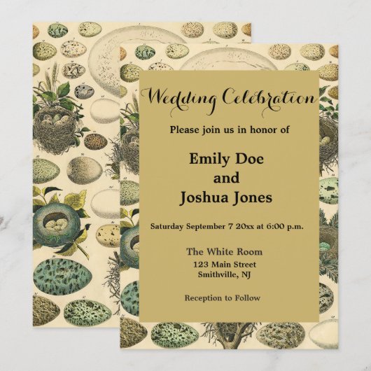 vogeleieren met nestkunst kaart (Voorkant / Achterkant)