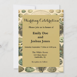 vogeleieren met nestkunst kaart