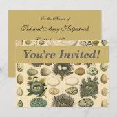  vogeleieren met nestkunst kaart (Voorkant / Achterkant)