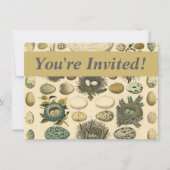 vogeleieren met nestkunst kaart (Voorkant)