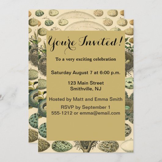 vogeleieren met nestkunst kaart (Voorkant / Achterkant)