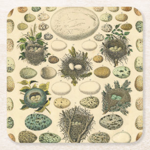  vogeleieren met nestkunst kartonnen onderzetters