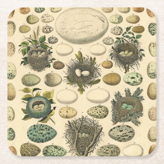 vogeleieren met nestkunst kartonnen onderzetters (Voorkant)