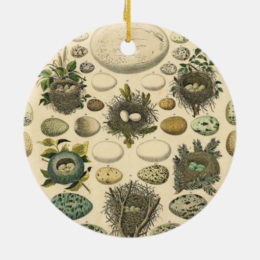 vogeleieren met nestkunst keramisch ornament (Achterkant)