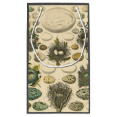  vogeleieren met nestkunst klein cadeauzakje (Achterkant)