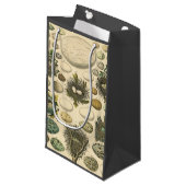  vogeleieren met nestkunst klein cadeauzakje (Voorkant Gekanteld)