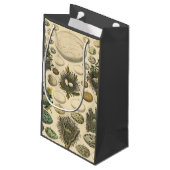  vogeleieren met nestkunst klein cadeauzakje (Achterkant Gekanteld)