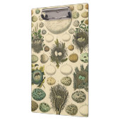  vogeleieren met nestkunst klembord (Links)