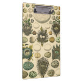  vogeleieren met nestkunst klembord (Rechts)