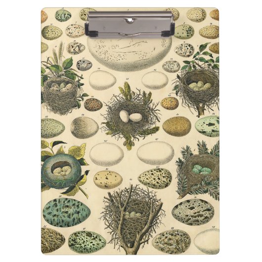  vogeleieren met nestkunst klembord (Voorkant)