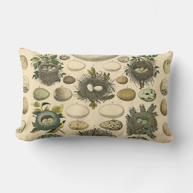  vogeleieren met nestkunst kussen (Voorkant)