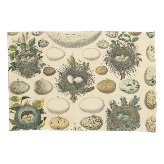 vogeleieren met nestkunst kussensloop (Voorkant)