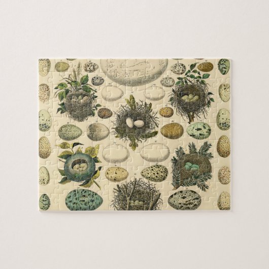 vogeleieren met nestkunst legpuzzel (Horizontaal)