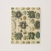 vogeleieren met nestkunst legpuzzel (Verticaal)