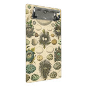 vogeleieren met nestkunst mini klembord (Schuin)