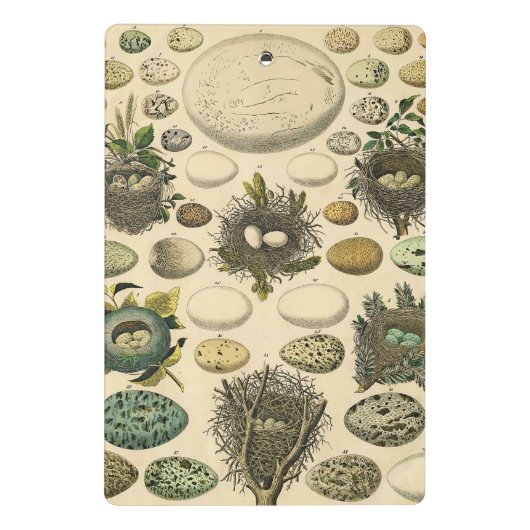 vogeleieren met nestkunst mini klembord (Achterkant)