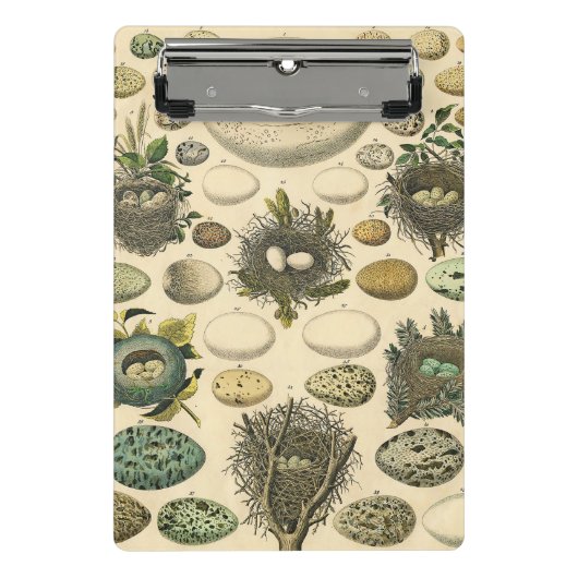 vogeleieren met nestkunst mini klembord (Voorkant)