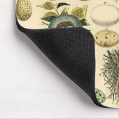  vogeleieren met nestkunst muismat (Hoek)