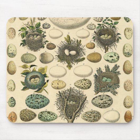  vogeleieren met nestkunst muismat (Voorkant)