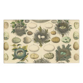  vogeleieren met nestkunst naambadge (Voorkant)