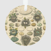 vogeleieren met nestkunst ornament (achterkant)