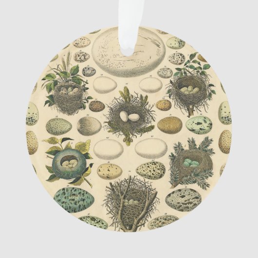 vogeleieren met nestkunst ornament (voorkant)