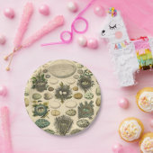 vogeleieren met nestkunst papieren bordje (Feest)